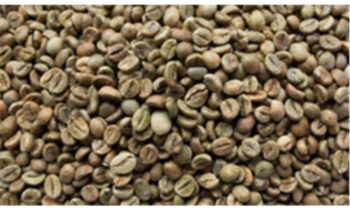 Cà phê Robusta Bắn màu