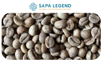 Robusta Fully-Washed