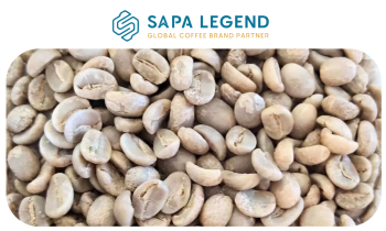 Arabica Fully-Washed 