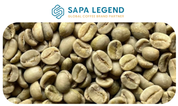 Arabica Honey Process