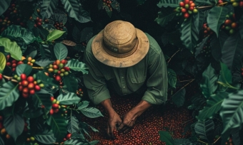 Phương pháp chế biến ướt