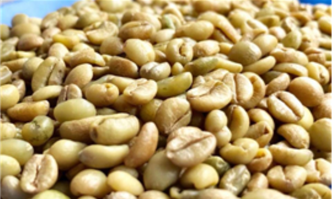 Jackfruit Coffee - Excelsa Coffee