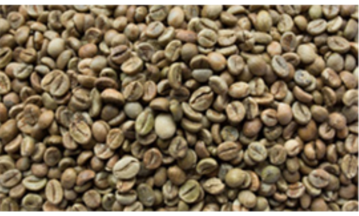 Robusta Coffee Color Shooting