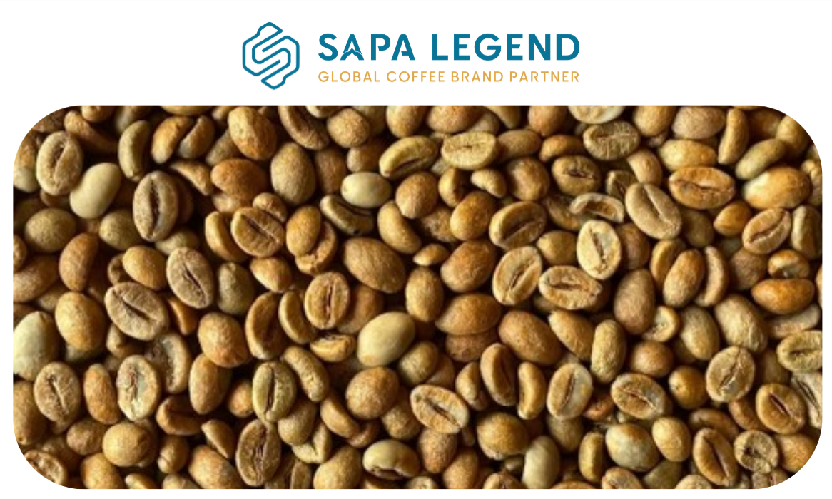 Robusta Honey Process