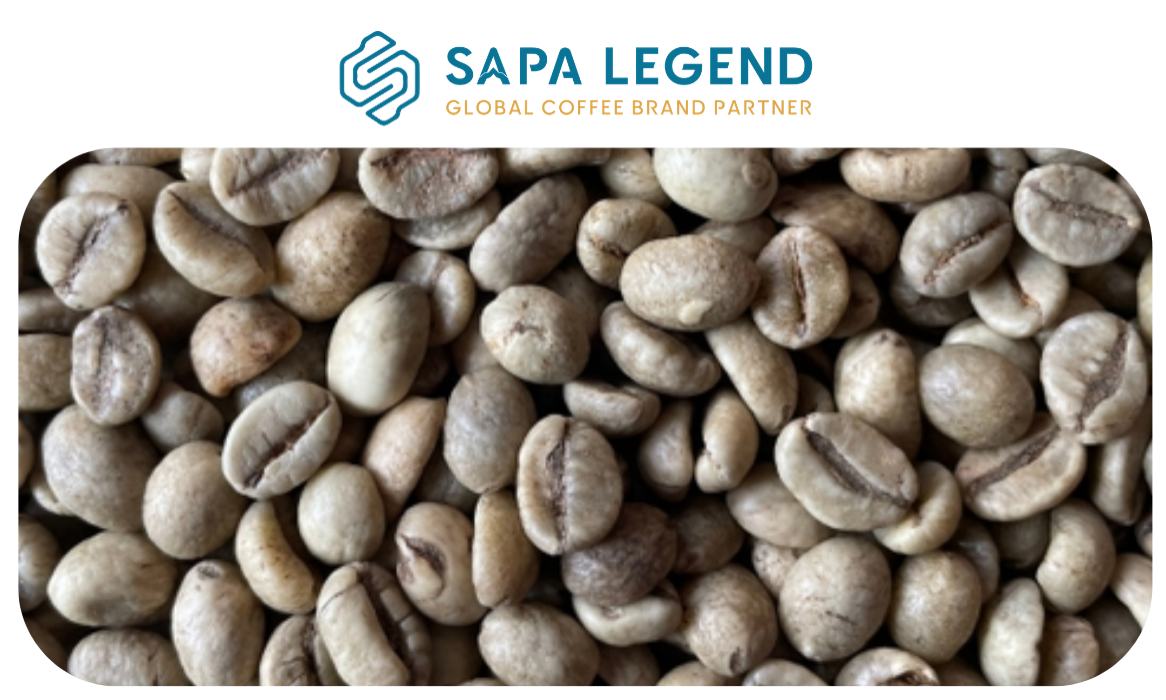 Robusta Fully-Washed